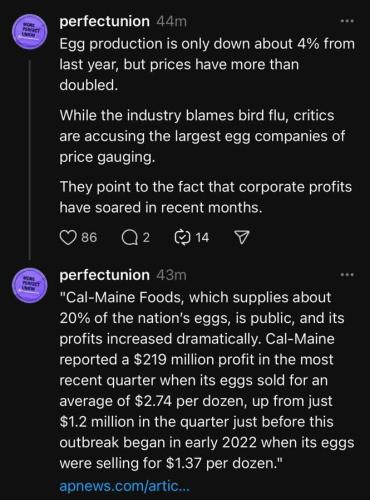 FB_IMG_1740851576796