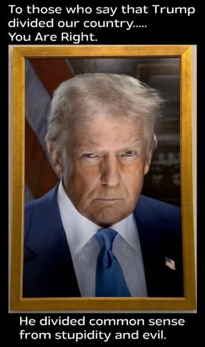 image_49CBD735-0993-4FC4-8D0C-FFEE1B38EE94