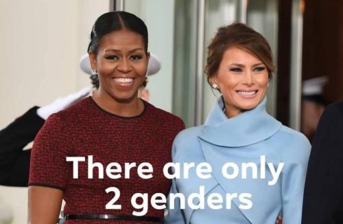 d4c2c660-357f-4dd2-8f69-e0e335f39f3c