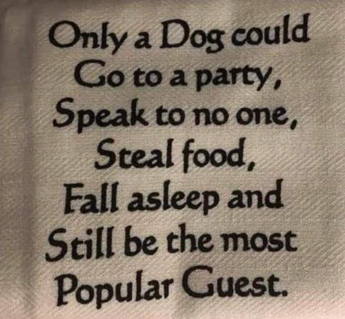 62eac223-8748-4173-a281-4a1fed395151