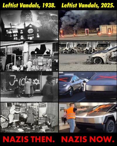 Leftist, Liberal, Libtard, Tesla, Electric Cars, Vandals, Nazi, Anti-Semite, Violence, Riots, BLM, Antifa, Haters -- Nazi vs. Democrats (Then vs. Now)