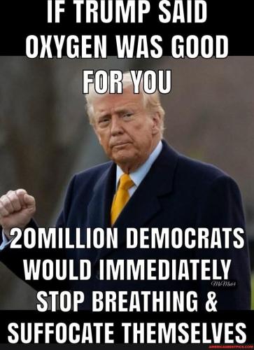 54ed773dd123c68afb3c8db96704cf9137c6791378ba00c1ebd19ba7b4fe639c_1