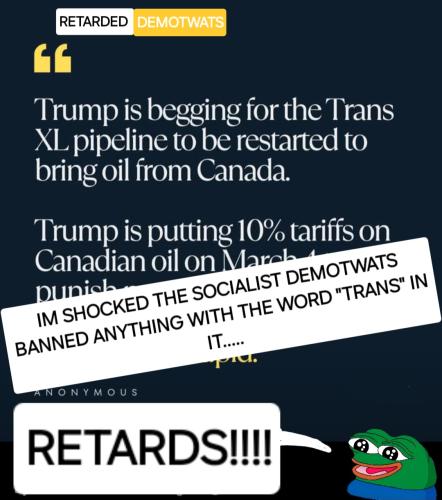 Screenshot_20250301_132353_Wimkin Free Speech Social Media