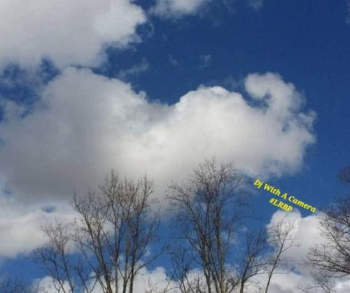 Screenshot_20250329_090033_Gallery