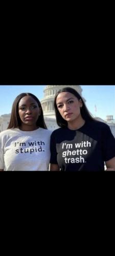 65af0ded-ee3f-4c6a-a159-6785969df40a