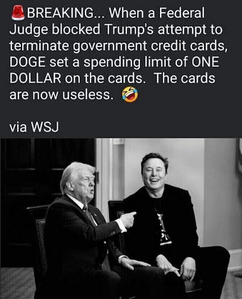 government efficiency54