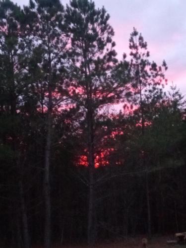 IMG_20250305_175404103