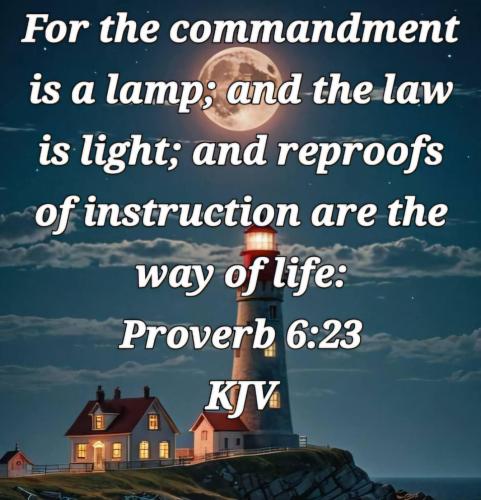 51848464-416a-4b46-a388-fc626469a47d