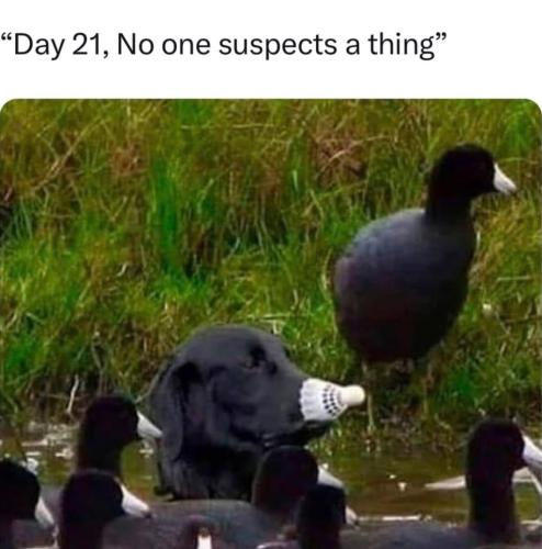 D0853015-3F68-468A-92E9-65E3832E529F