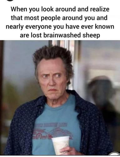 Screenshot_20250324_124737_Instagram