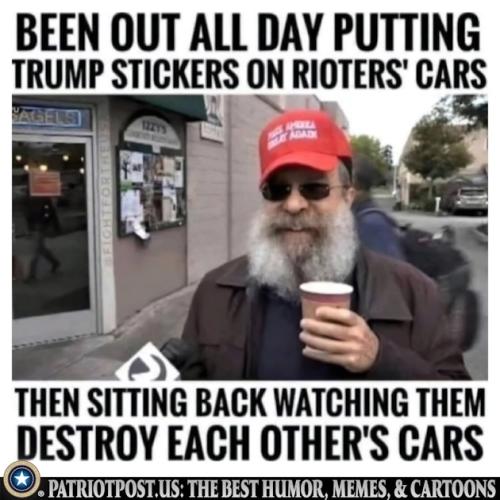 01JPP132EV27SAVY3087FV16YS