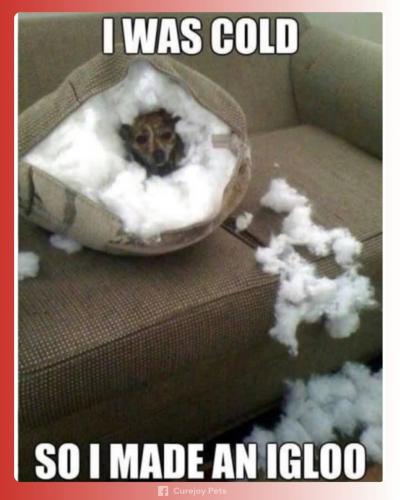 FB_IMG_1740873132126