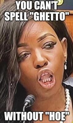 image_B1EBF35E-E6BB-42A9-ABDE-C2CCDD22DE93