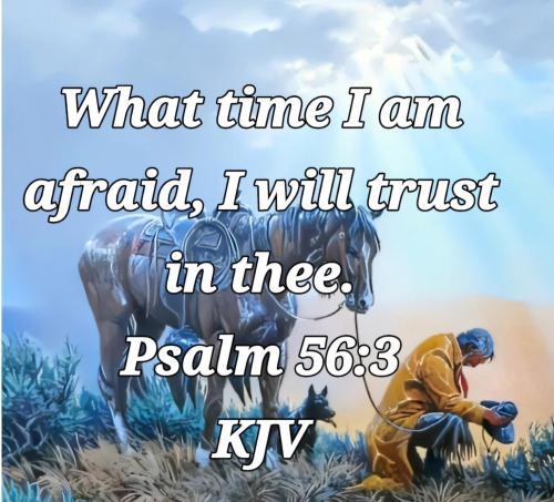 a9060569-027e-4980-ada7-c9ceb22572e2