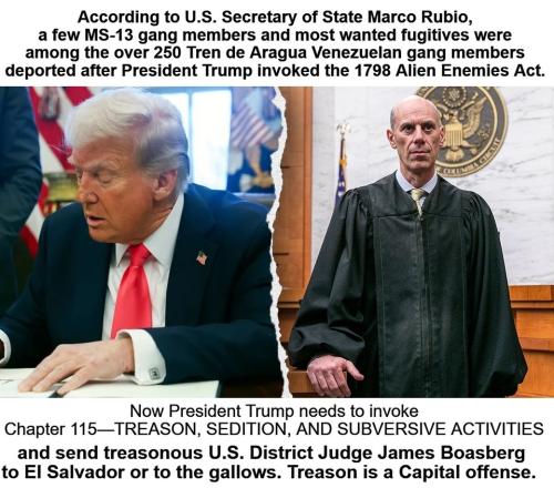 Treasonous Judge U.S. District Judge James Boasberg.960px