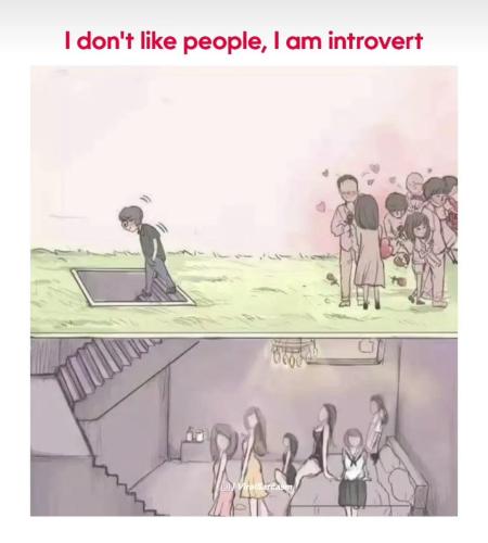 image_1D52EA3D-CD41-478E-8841-FC5F42401F27