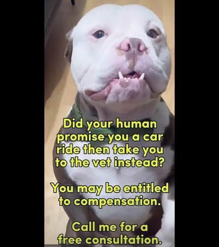 FB_IMG_1742680626171