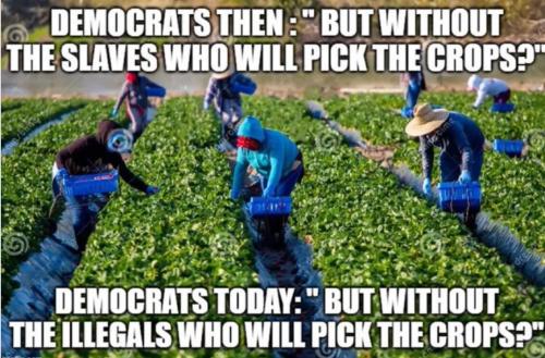 2dc42303-7459-4d9b-8d36-760b92b56b51_1132x746