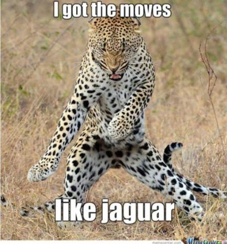 Screenshot_20250301_070155_Gallery