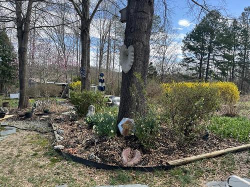 485087395_1192051622319887_2238885766066597427_n (1)