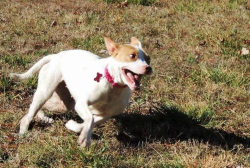 19:32:41 GMT-0600 (CST)