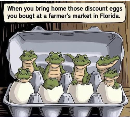 Screenshot_20250313_100956_Facebook