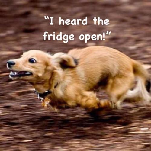 FB_IMG_1742832091438