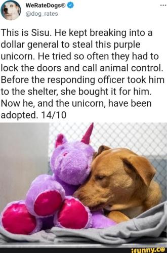 fbd720c8d5e64b3e43ded3060909e23e36907f37e21a7eb9a2e3985e8e239453_1