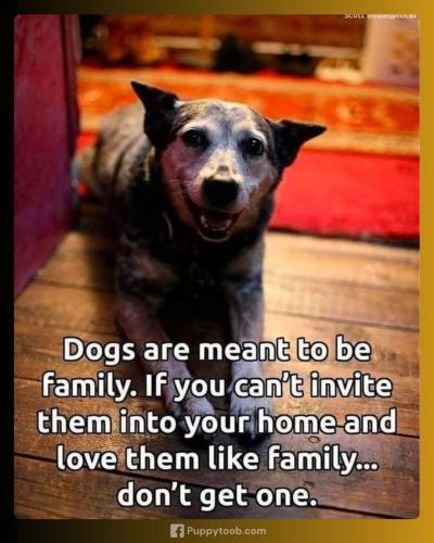 FB_IMG_1742726789753