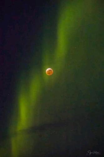 ebac53f1-ca70-4ffd-bbf0-9226ed13b902