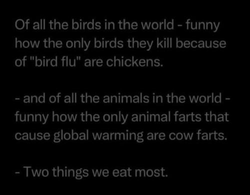 Screenshot_2025-03-20-04-06-09-76_a23b203fd3aafc6dcb84e438dda678b6