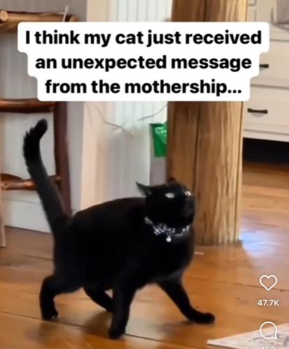 FB_IMG_1741460999921