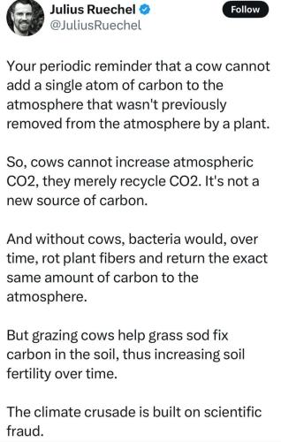 image_660E10AB-F475-4038-A0CD-6FA358921D3C