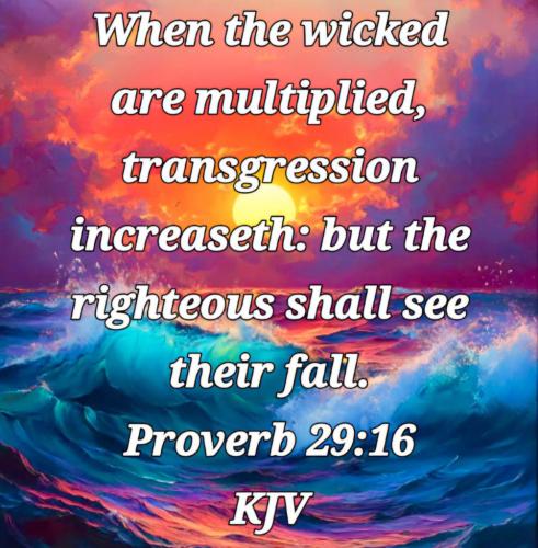 b806bee8-de57-47ca-9bbc-af5b240b2f6b