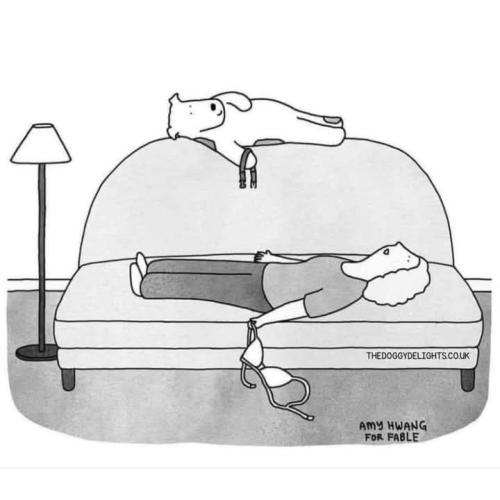 FB_IMG_1743423873854