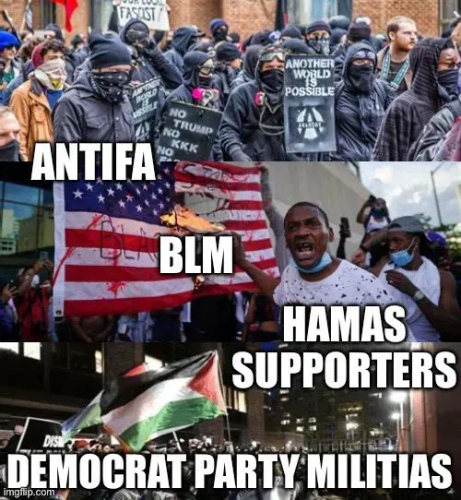 image_2025-03-12_065027382