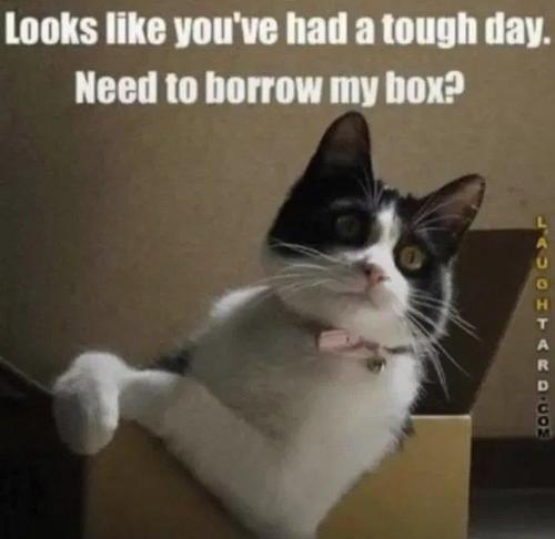 25157e95-cf1f-4d1d-acbc-0199f0b27ade