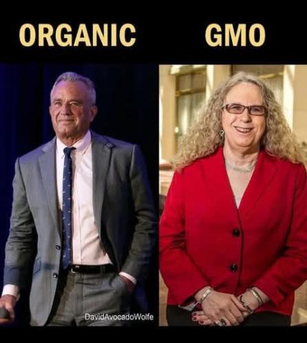 FB_IMG_1740907764567