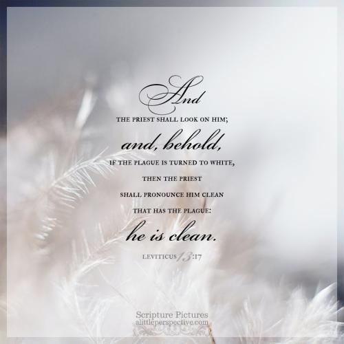 lev-13-17-JPS-unsplash