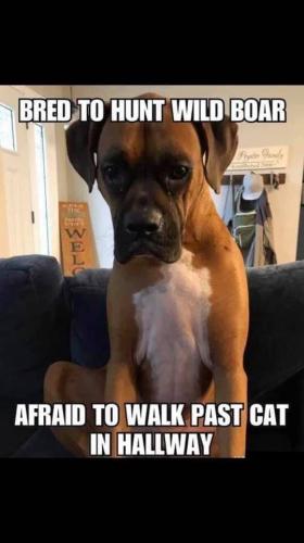 FB_IMG_1741263057923