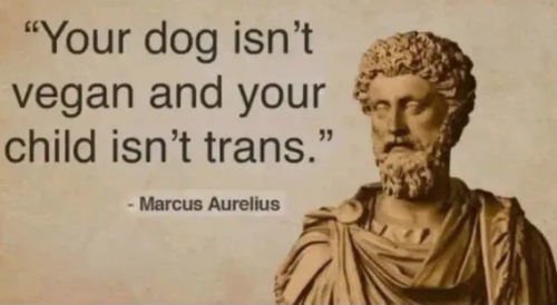 image_2025-03-28_063251642