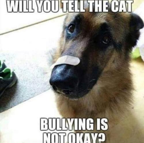 FB_IMG_1742045907918