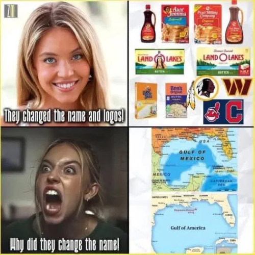 image_2025-03-16_073058727