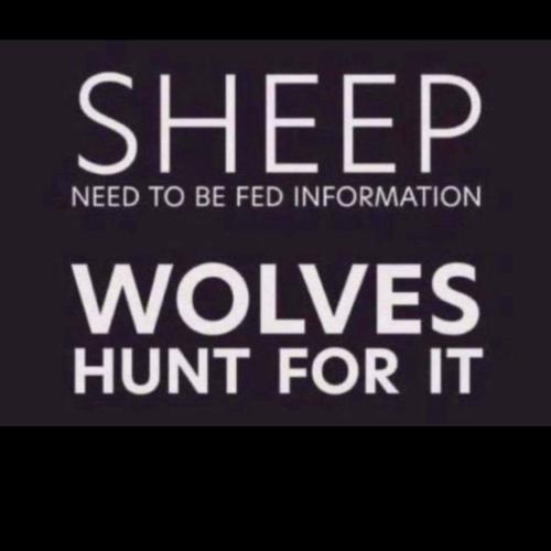 be wolves_not sheep