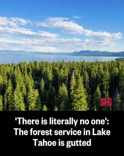 FB_IMG_1741622833569