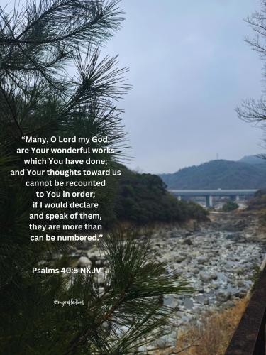 484339453_656446863993048_5198781382978580952_n