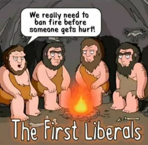 image_2025-03-27_061445425