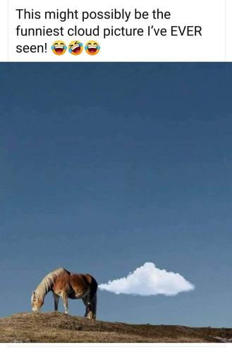 FB_IMG_1742848782109