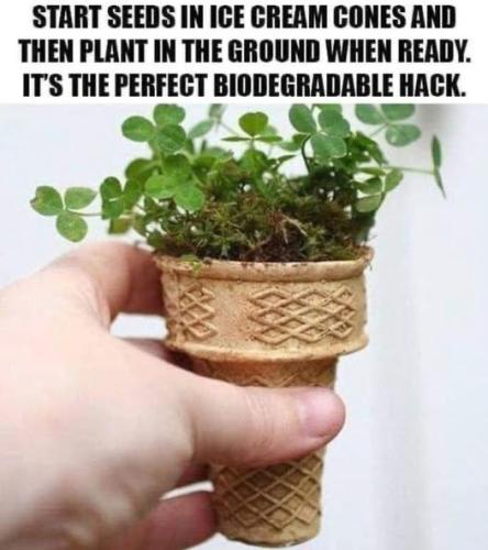 5BC8903B-4827-4783-AFF1-DD8E9598CC9C