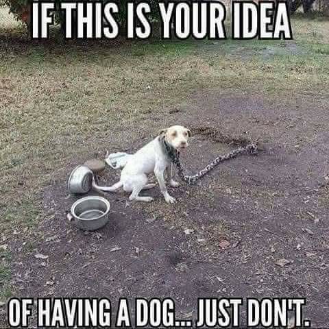 19:32:41 GMT-0600 (CST)